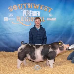 Meet your Posher, Dillon